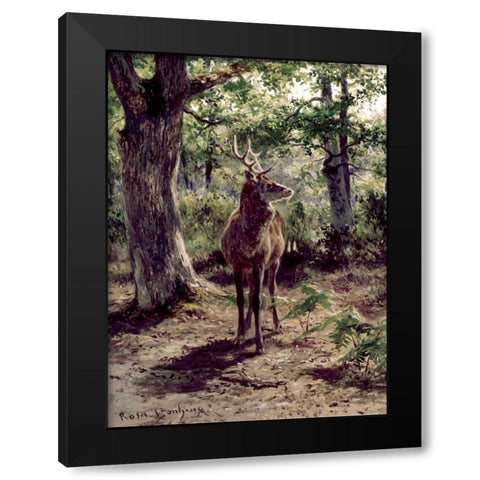Stag On Alert, In Wooded Clearing Black Modern Wood Framed Art Print by Bonheur, Rosa