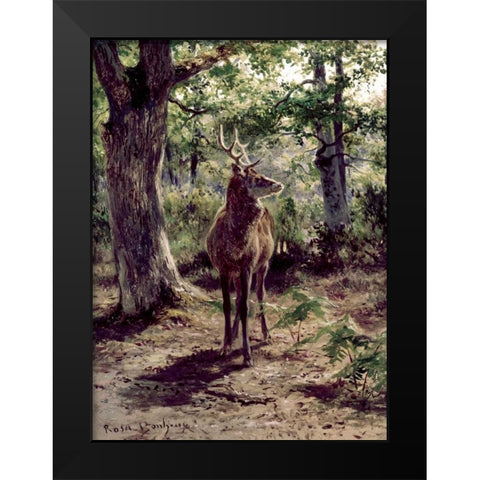 Stag On Alert, In Wooded Clearing Black Modern Wood Framed Art Print by Bonheur, Rosa