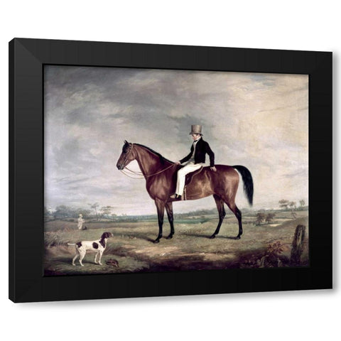 A Young Gentleman In a Grey Hat On a Bay Hunter Black Modern Wood Framed Art Print by Cooper, Abraham