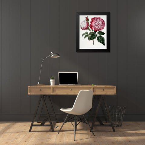 China, Archduke Charles Black Modern Wood Framed Art Print by Curtis, Henry