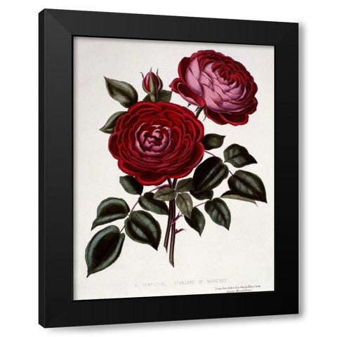 H Perpetual, Standard of Marengo Black Modern Wood Framed Art Print with Double Matting by Curtis, Henry