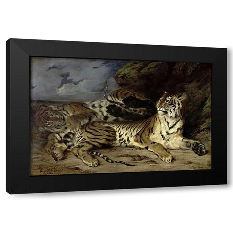 Young Tiger Playing with his Mother Black Modern Wood Framed Art Print with Double Matting by Delacroix, Eugene