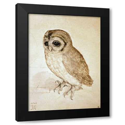 Screech Owl Black Modern Wood Framed Art Print with Double Matting by Durer, Albrecht