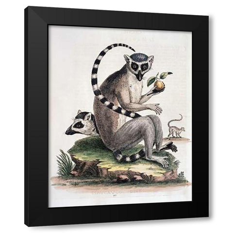 Le Maucuaco Black Modern Wood Framed Art Print with Double Matting by Edwards, George