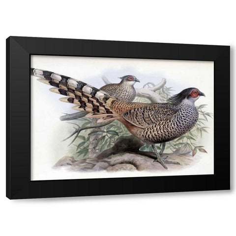 Cheer Black Modern Wood Framed Art Print with Double Matting by Glover, John