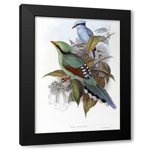 Hunting Cissa Black Modern Wood Framed Art Print by Glover, John