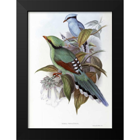 Hunting Cissa Black Modern Wood Framed Art Print by Glover, John