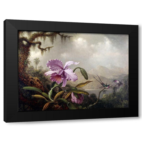 Hummingbirds and Orchids Black Modern Wood Framed Art Print by Heade, Martin Johnson