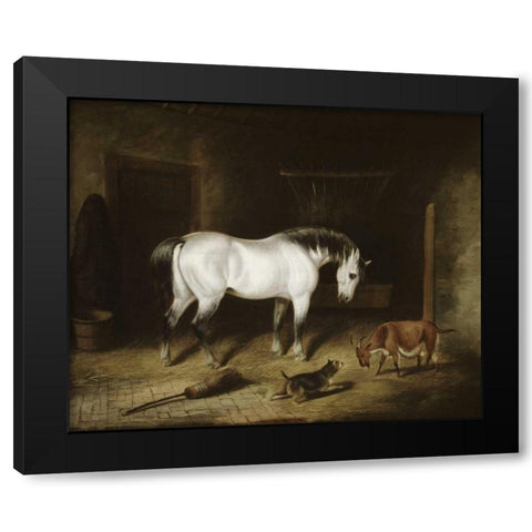 White Horse Black Modern Wood Framed Art Print with Double Matting by Herring, John Frederick