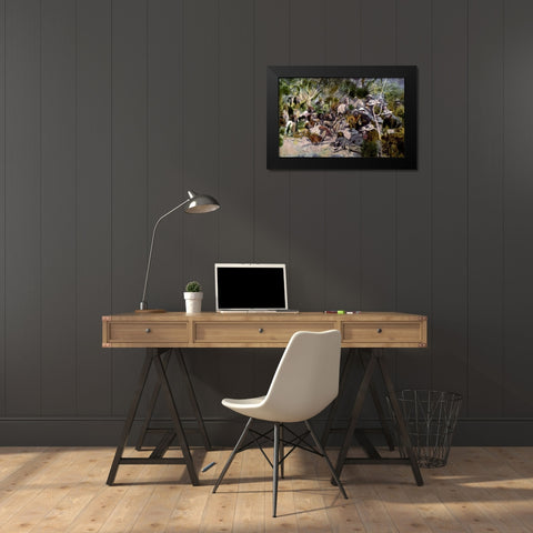 Crooks Conference With Geronimo Black Modern Wood Framed Art Print by Kline, William F.