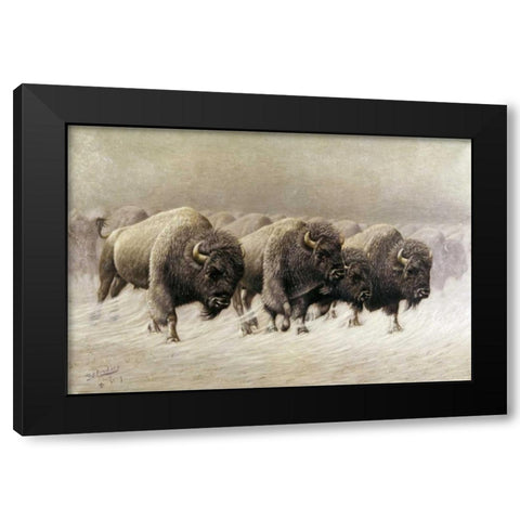 In The Teeth of The Blizzard Black Modern Wood Framed Art Print with Double Matting by Lenders, E.W.