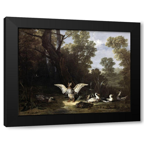 Ducks Black Modern Wood Framed Art Print by Oudry, Jean-Baptiste