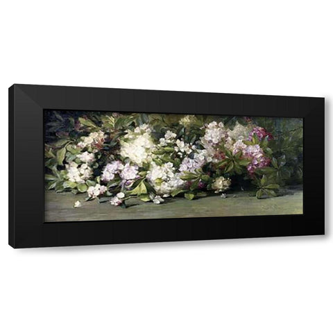Mountain Laurel Black Modern Wood Framed Art Print by Palmer, Adelaide Coburne