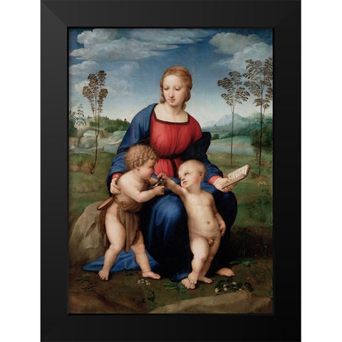 Madonna of The Goldfinch Black Modern Wood Framed Art Print by Raphael