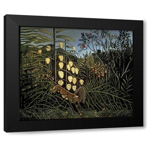 Tropical Forest: Battling Tiger and Bull Black Modern Wood Framed Art Print with Double Matting by Rousseau, Henri