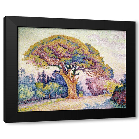 Pine Tree In St. Tropez Black Modern Wood Framed Art Print by Signac, Paul
