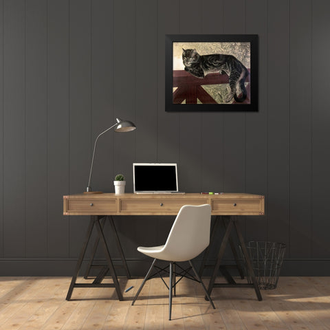 Cat On The Balustrade Black Modern Wood Framed Art Print by Steinlen, Theophile