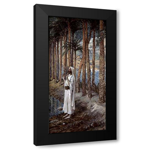 Palm Tree Black Modern Wood Framed Art Print with Double Matting by Tissot, James