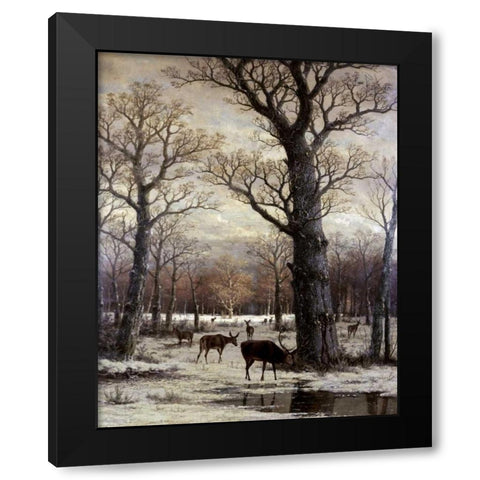 Deer Foraging, Winter Black Modern Wood Framed Art Print by Unknown
