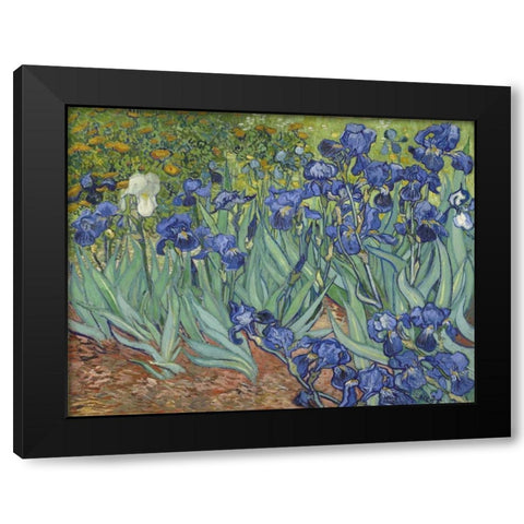 Irises, 1889 Black Modern Wood Framed Art Print with Double Matting by Van Gogh, Vincent