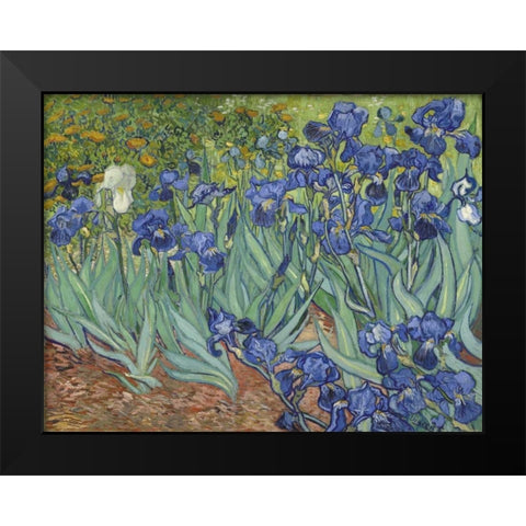 Irises, 1889 Black Modern Wood Framed Art Print by Van Gogh, Vincent