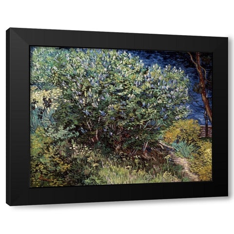 Lilacs Black Modern Wood Framed Art Print with Double Matting by Van Gogh, Vincent