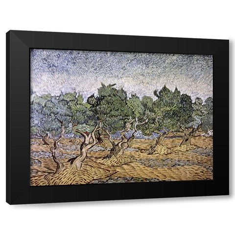 Olive Orchard, Violet Soil Black Modern Wood Framed Art Print by Van Gogh, Vincent