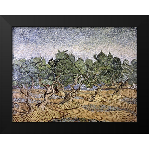 Olive Orchard, Violet Soil Black Modern Wood Framed Art Print by Van Gogh, Vincent