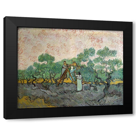 Women Picking Olives Black Modern Wood Framed Art Print with Double Matting by Van Gogh, Vincent