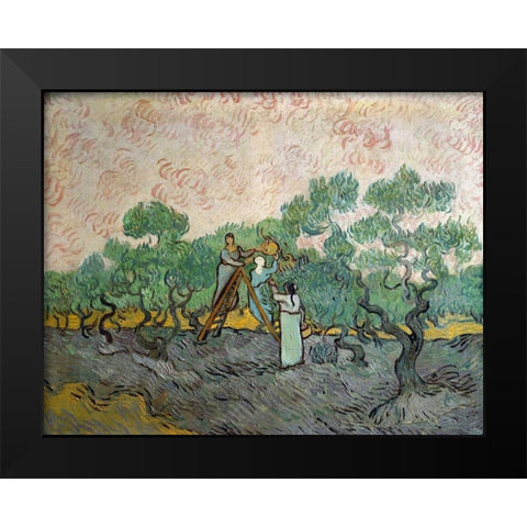 Women Picking Olives Black Modern Wood Framed Art Print by Van Gogh, Vincent