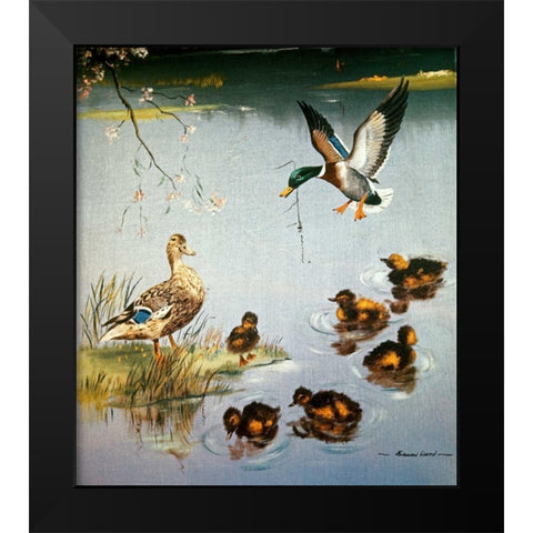 Mallards Black Modern Wood Framed Art Print by Ward, Edward Matthew