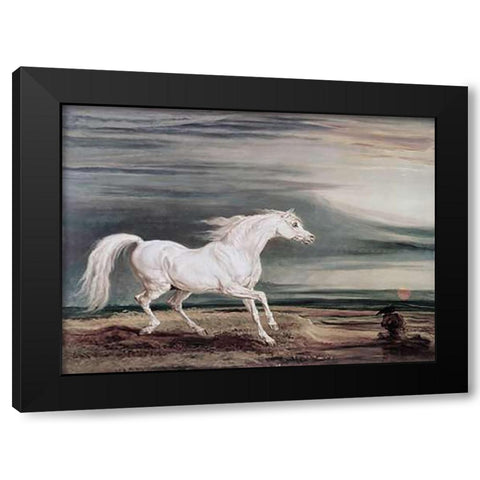 Marengo Barb Charger Black Modern Wood Framed Art Print by Ward, James
