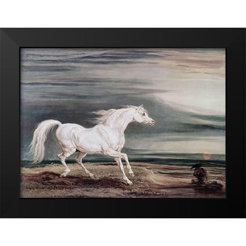 Marengo Barb Charger Black Modern Wood Framed Art Print by Ward, James
