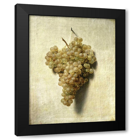 White Grapes - Raisons Blancs Black Modern Wood Framed Art Print by Boilly, Louis Leopold