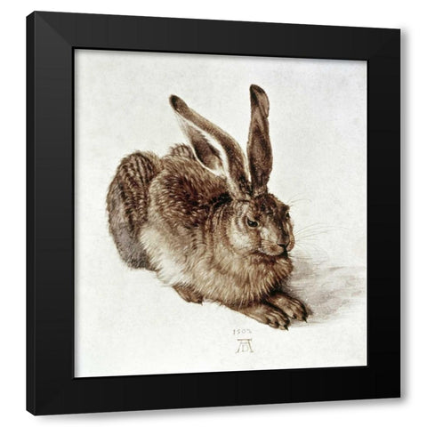 The Young Hare Black Modern Wood Framed Art Print by Durer, Albrecht