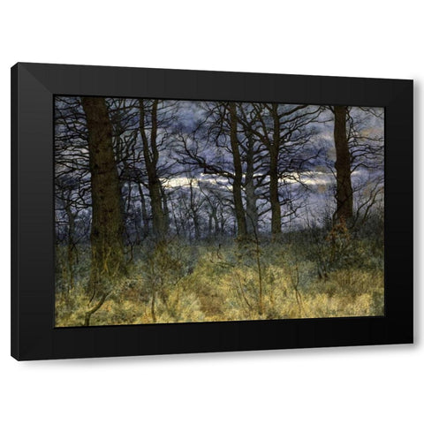 The Woods at Dusk Black Modern Wood Framed Art Print with Double Matting by Garden, William Fraser