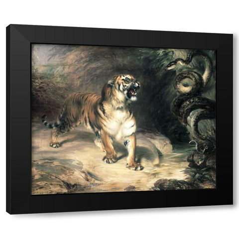 Tiger Confronting a Snake by a Stream Black Modern Wood Framed Art Print by Huggins, William