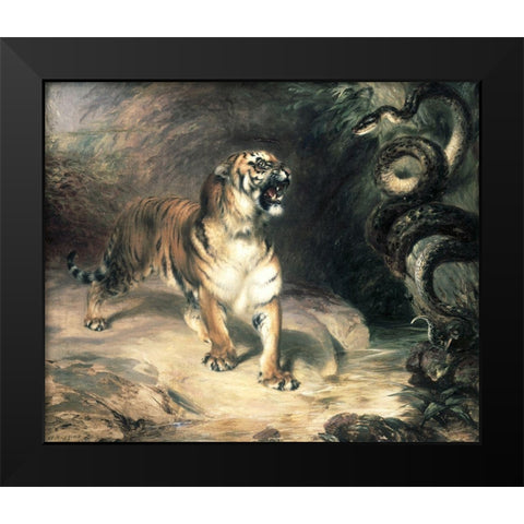 Tiger Confronting a Snake by a Stream Black Modern Wood Framed Art Print by Huggins, William