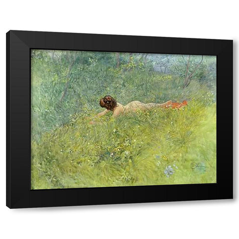 On The Grass Black Modern Wood Framed Art Print with Double Matting by Larsson, Carl