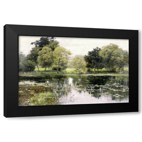 Water Lilies on a Pond Black Modern Wood Framed Art Print with Double Matting by Levitan, Isaak