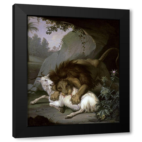 A Lion Attacking a Goat Black Modern Wood Framed Art Print by Peter, Wenzel