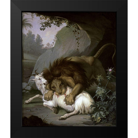 A Lion Attacking a Goat Black Modern Wood Framed Art Print by Peter, Wenzel