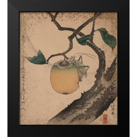 Grasshopper eating persimmon, 1850 Black Modern Wood Framed Art Print by Hokusai
