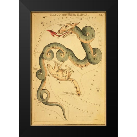 Draco and Ursa Minor, 1825 Black Modern Wood Framed Art Print by Aspin, Jehoshaphat