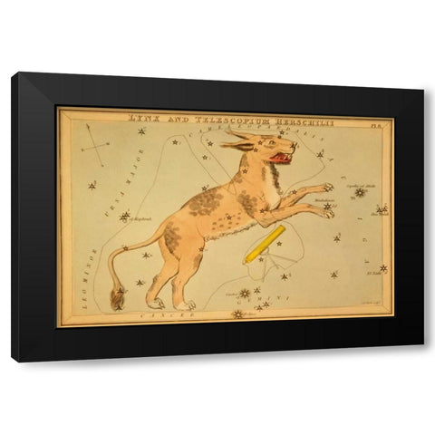 Lynx and Telescopium Herschilii, 1825 Black Modern Wood Framed Art Print by Aspin, Jehoshaphat