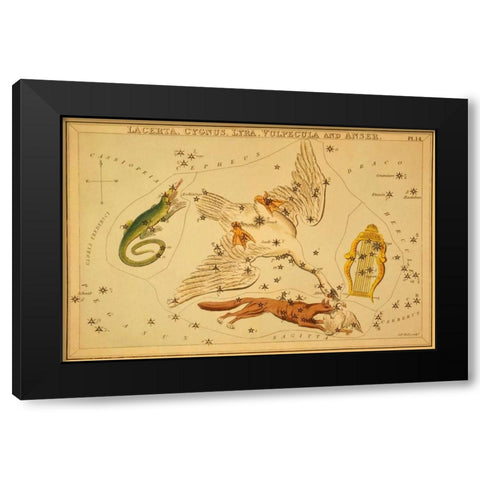 Lacerta, Cygnus, Lyra, Vulpecula and Anser, 1825 Black Modern Wood Framed Art Print by Aspin, Jehoshaphat