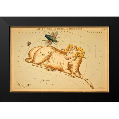 Aries and Musca Borealis, 1825 Black Modern Wood Framed Art Print by Aspin, Jehoshaphat