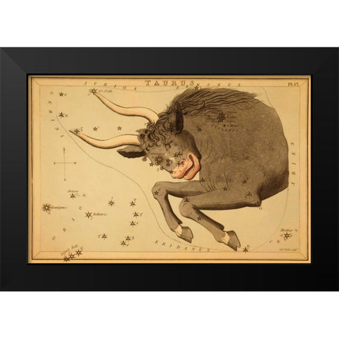 Taurus the Bull, 1825 Black Modern Wood Framed Art Print by Aspin, Jehoshaphat