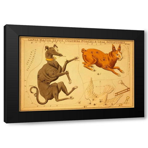 Canis Major, Lepus, Columba Noachi and Cela Sculptoris, 1825 Black Modern Wood Framed Art Print by Aspin, Jehoshaphat