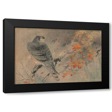 Eagle on a maple branch Black Modern Wood Framed Art Print by Unknown